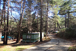 Platania Picnic and Camping Site